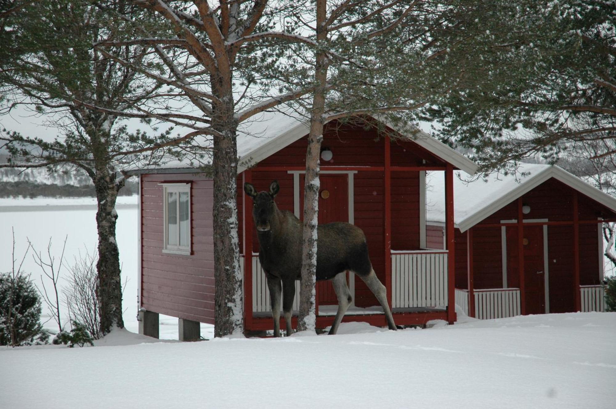 Tysfjord Hotel Storjord I Tysfjord ภายนอก รูปภาพ